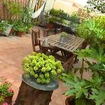 Oasis In Bologna
