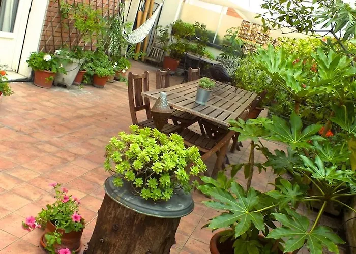 Oasis In Bologna